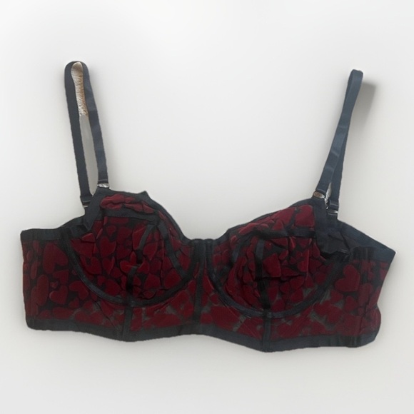 Sexy Mesh Black and Red Heart Pattern Bra Torrid Sz 1 EUC - Picture 1 of 9
